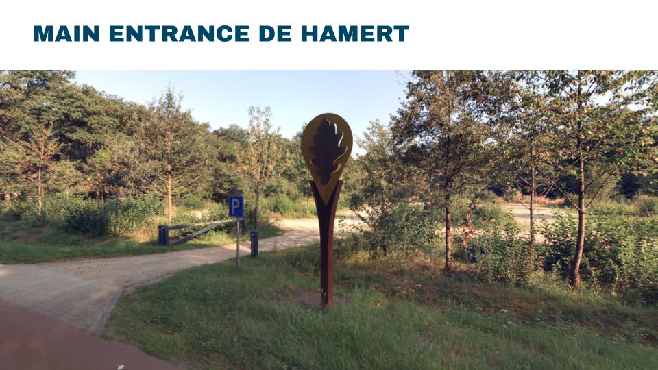 Trendsportal tbv Maasduinen Improve Maps LOCALYSE 31 10 24 2