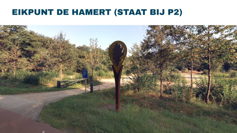 Trendsportal tbv Maasduinen Improve Maps LOCALYSE 31 10 24 5